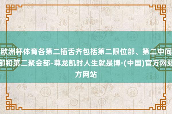 欧洲杯体育各第二插舌齐包括第二限位部、第二中间部和第二聚会部-尊龙凯时人生就是博·(中国)官方网站