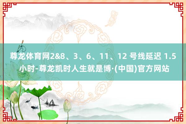 尊龙体育网2&8、3、6、11、12 号线延迟 1.5 小时-尊龙凯时人生就是博·(中国)官方网站